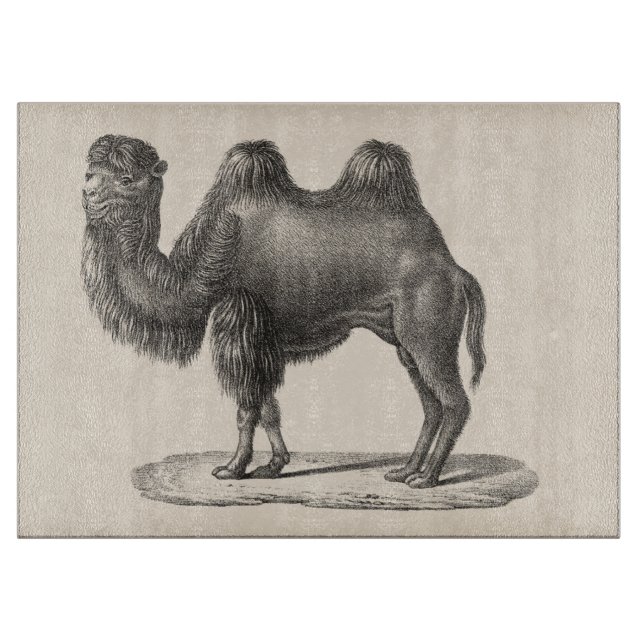 Brodtmann Camel Sketch Cutting Board (Front)