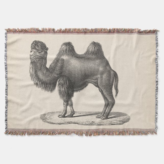 Brodtmann Camel Sketch Throw Blanket (Front)