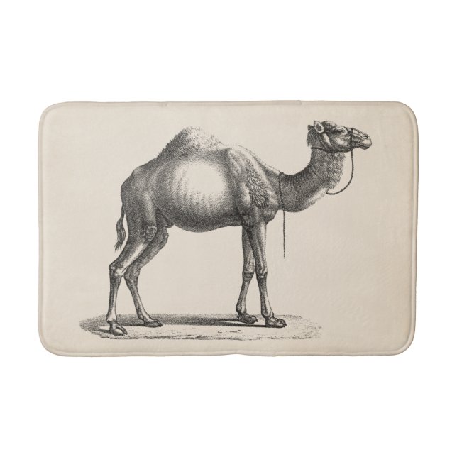 Brodtmann Dromedary Camel Sketch Bath Mat (Front)