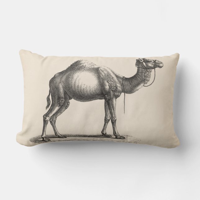 Brodtmann Dromedary Camel Sketch Lumbar Cushion (Front)