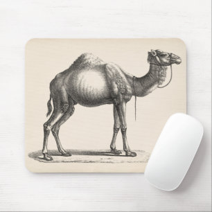 Brodtmann Dromedary Camel Sketch Mouse Pad