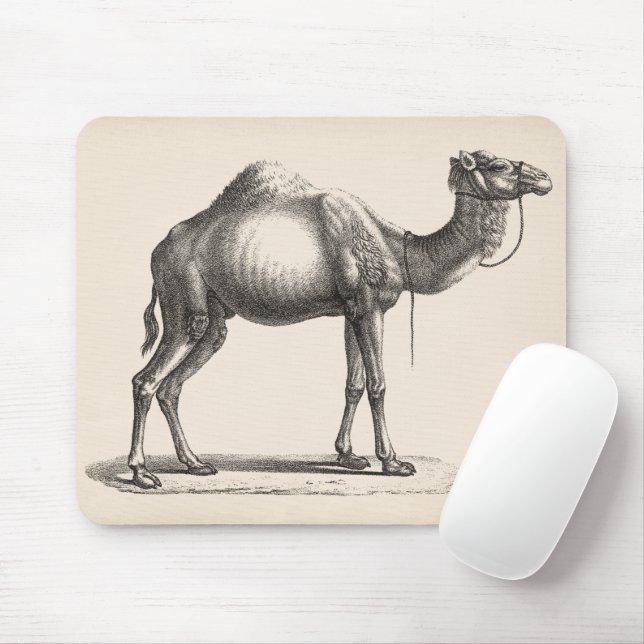 Brodtmann Dromedary Camel Sketch Mouse Pad (With Mouse)