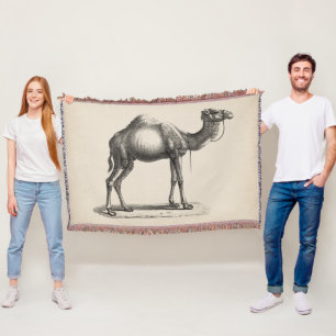 Brodtmann Dromedary Camel Sketch Throw Blanket