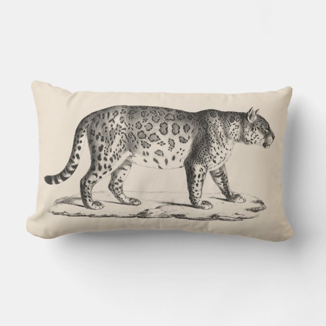 Brodtmann Leopard Sketch Lumbar Cushion (Front)