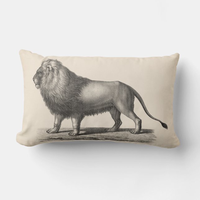 Brodtmann Lion Sketch Lumbar Cushion (Front)