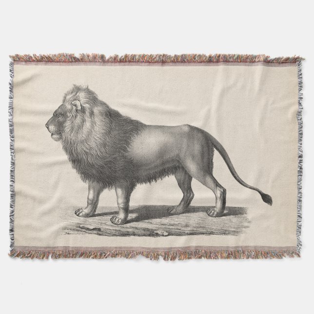 Brodtmann Lion Sketch Throw Blanket (Front)
