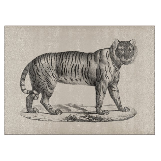 Brodtmann Tiger Sketch Cutting Board (Front)