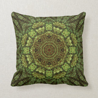 Brohtback Fountain 1 Pillow