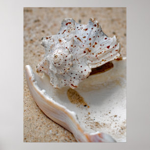 Broken Beach Beauties Poster