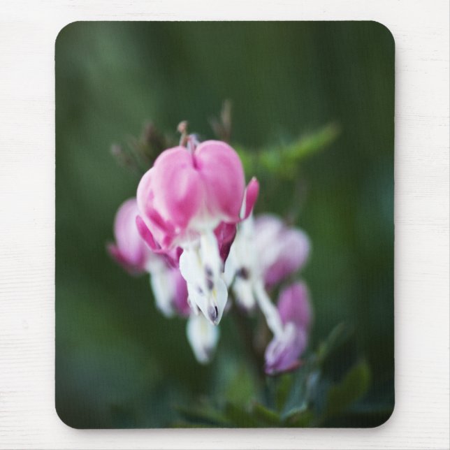 Broken Heart Line Up Mousepad (Front)