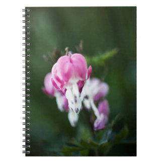 Broken Hearts Line Up Notebook