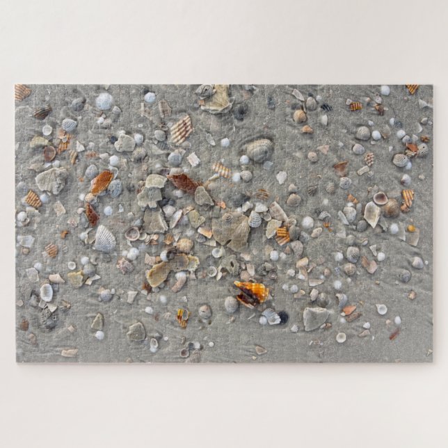 Broken Shells on Cape San Blas, Florida Jigsaw Puzzle (Horizontal)