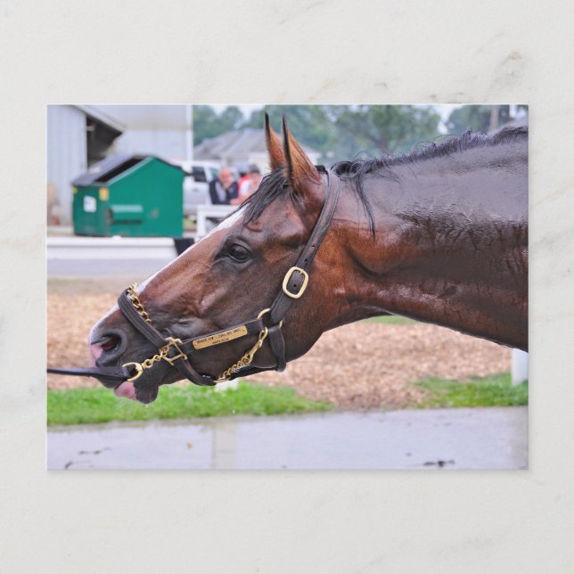 Broken Vow -Copeland's Angel Colt Postcard (Front)