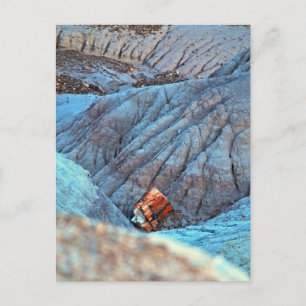 "Broken Wood in Blue Canyon" collection Postcard