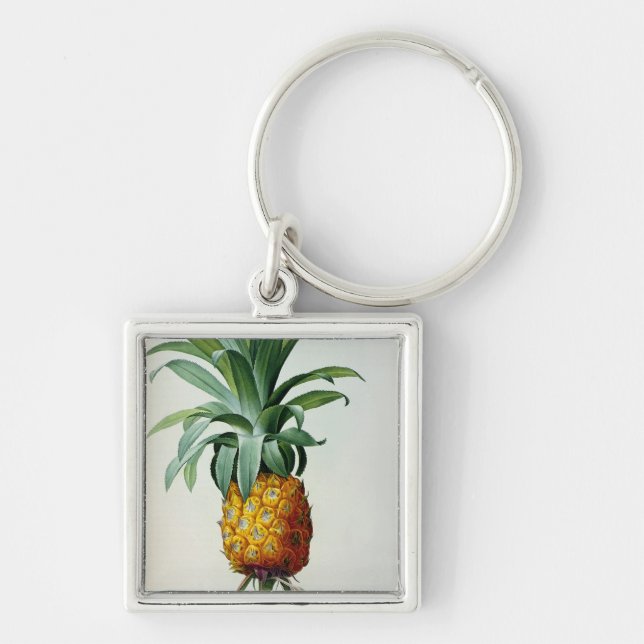 Bromelia Ananas, from 'Les Bromeliacees' Key Ring (Front)