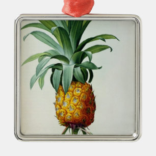 Bromelia Ananas, from 'Les Bromeliacees' Metal Ornament