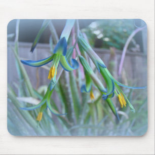 Bromeliad Blossoms on Blue Mouse Pad