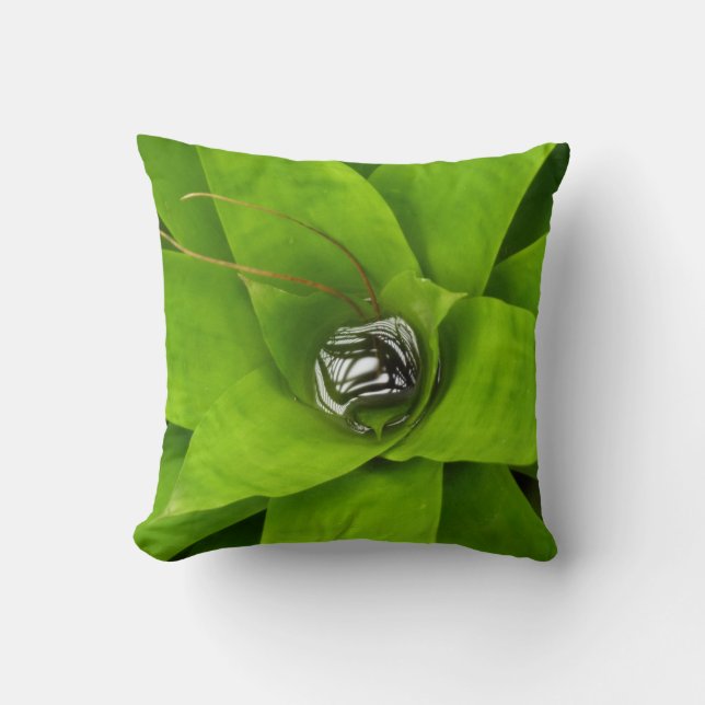 Bromeliad Green Botanical Photography Cushion (Front)