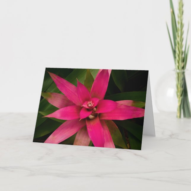 Bromeliad in Bloom Thank You Card (Front)