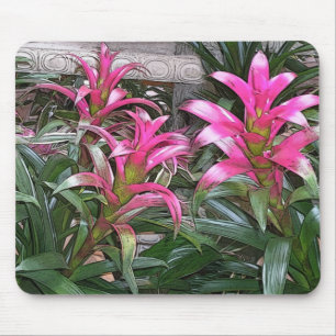 Bromeliad Mouspad Mouse Pad
