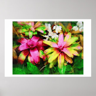 Bromeliad, Oil painting, Tropical Collection Poster