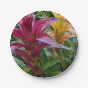 Bromeliad Paper Plate