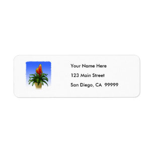 Bromeliad Vriesea Tosca Return Address Label