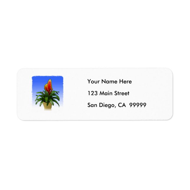 Bromeliad Vriesea Tosca Return Address Label (Front)
