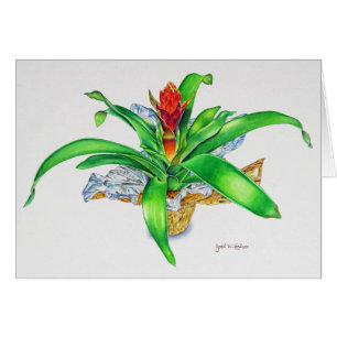 Bromeliad Watercolor