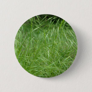 Bromus tectorum Badge