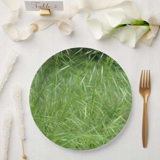 Bromus tectorum Paper Plate (Wedding)