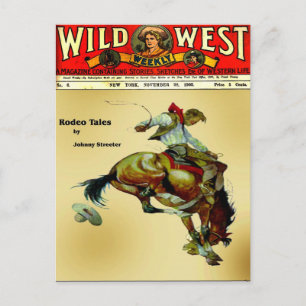 "Bronc Rider"  Cowboy Western Rodeo Postcard