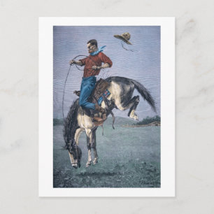 Bronco-Buster (coloured engraving) Postcard