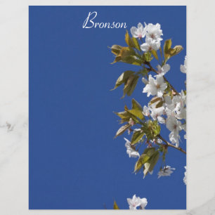 Bronson Blossom Letterhead