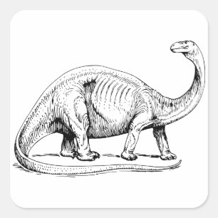 Brontosaurus Square Sticker