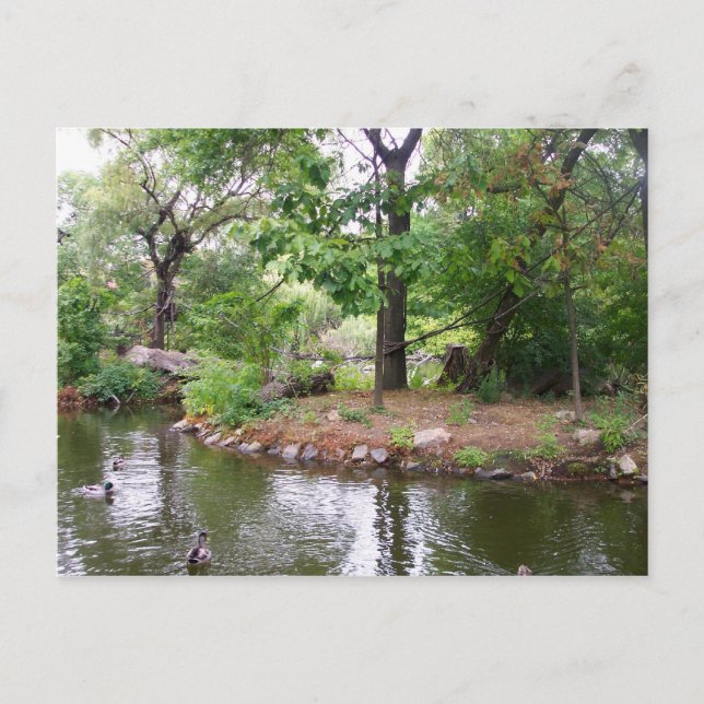 Bronx Zoo Postcard (Front)