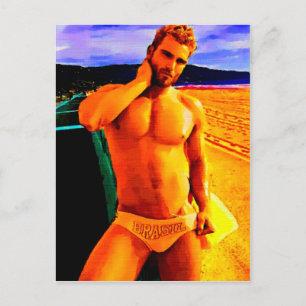 Bronze Brasil Postcard