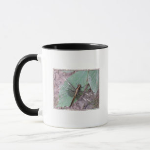 Bronze Dragonfly Mug