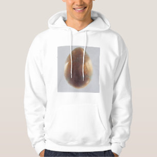 Bronze Egg 2014 Hoodie