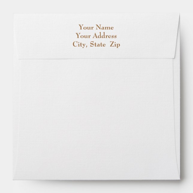 Bronze Lined ~ Matches Hanukkah, Etc. Items Envelopes (Back (Top Flap))