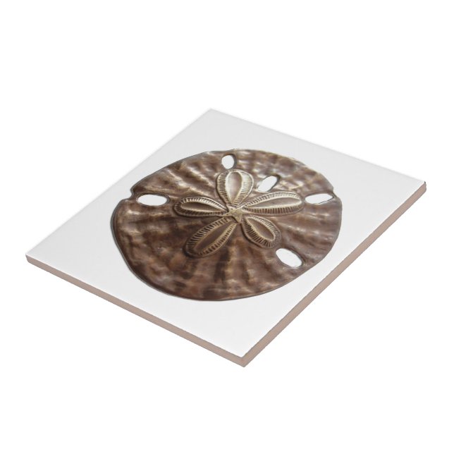 Bronze Sand Dollar Ceramic Tile (Side)
