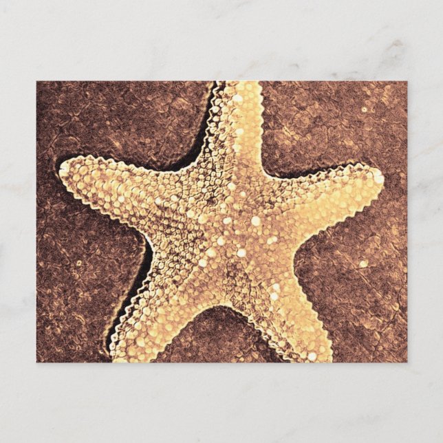 Bronze Starfish Post Card (Front)