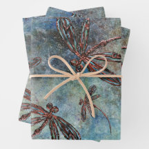 Bronze Tipped Dragonflies on a Magical Sky