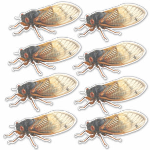 Brood X Periodical Cicada Stickers: 8 per sheet
