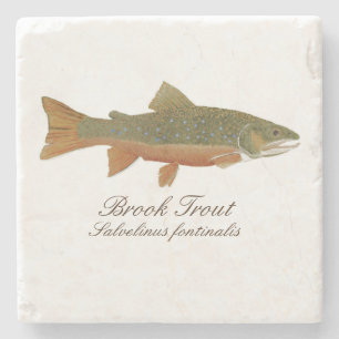 Brook Trout Coaster