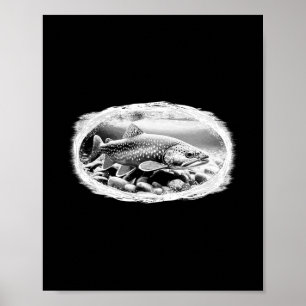 Brook Trout Dry Flies Fishing Lover Fly Tying Fish Poster