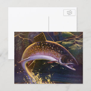 Brook Trout Fish Fisherman, Vintage Sports Fishing Postcard