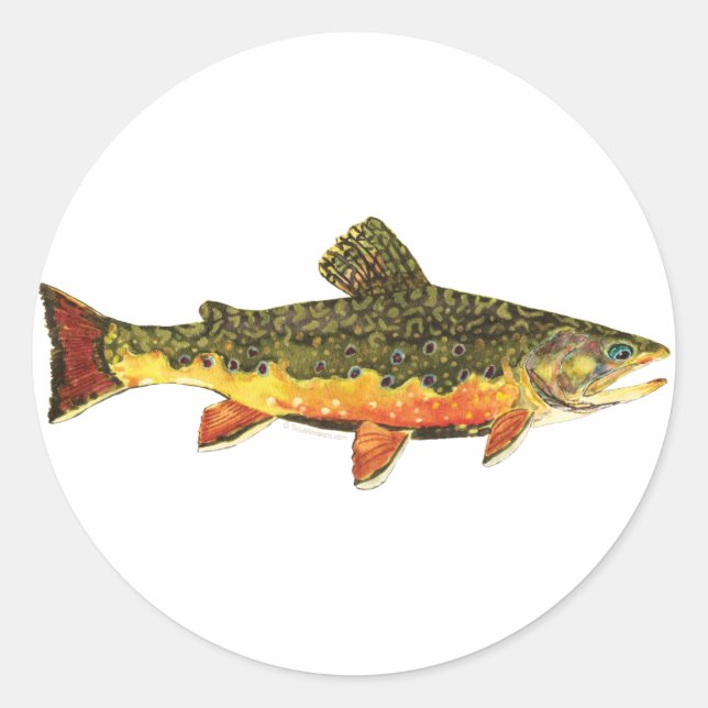 Brook Trout Fish Painting Classic Round Sticker (Front)