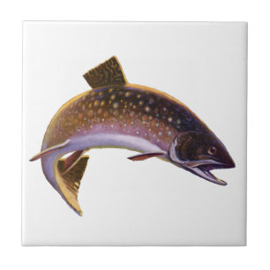 Brook Trout Fish, Vintage Sports Fishing Fisherman Ceramic Tile