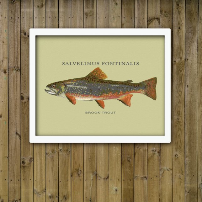 Brook Trout Fishing Poster (Creator Uploaded)